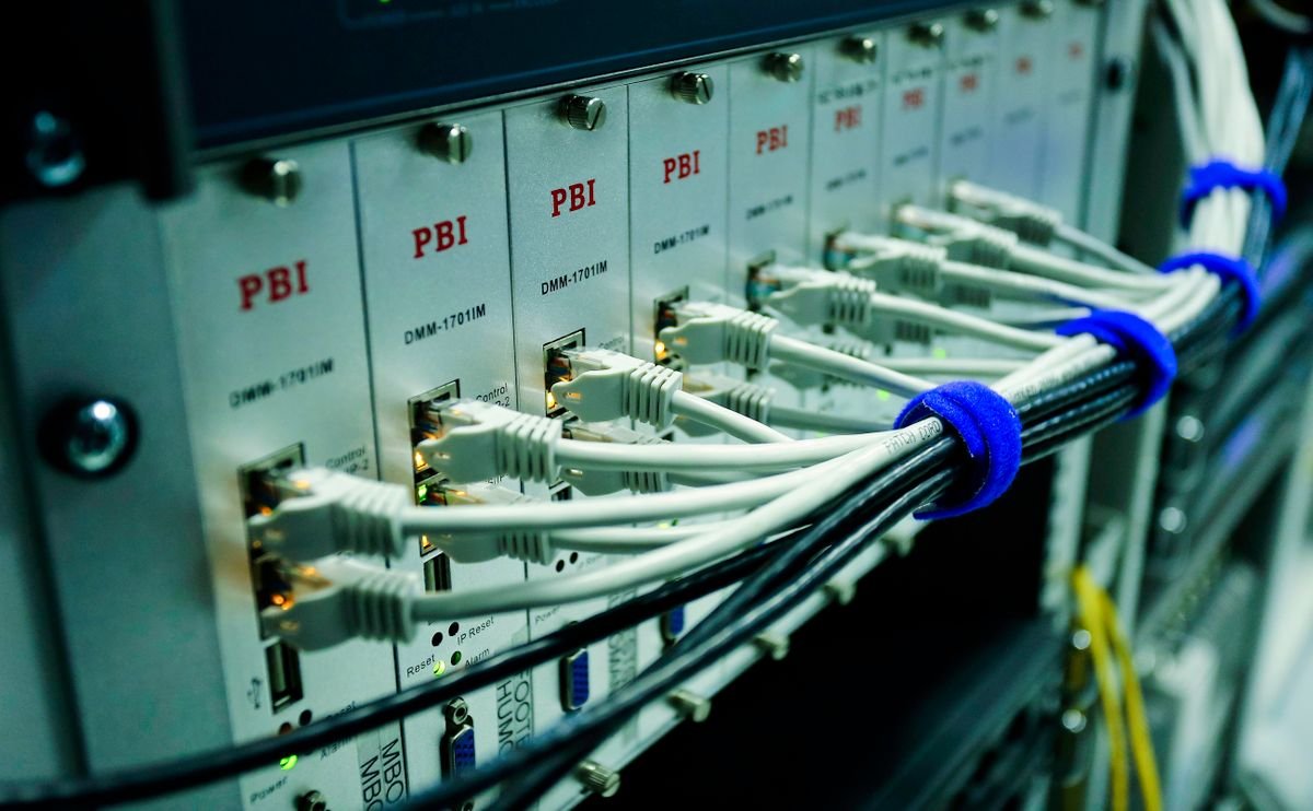 Close-up of ethernet cables connected to a network switch panel